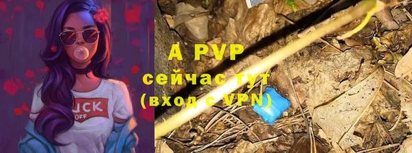 спайс Магадан